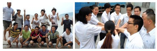 Made in China Supplier Pure Epoxy Powder Coating