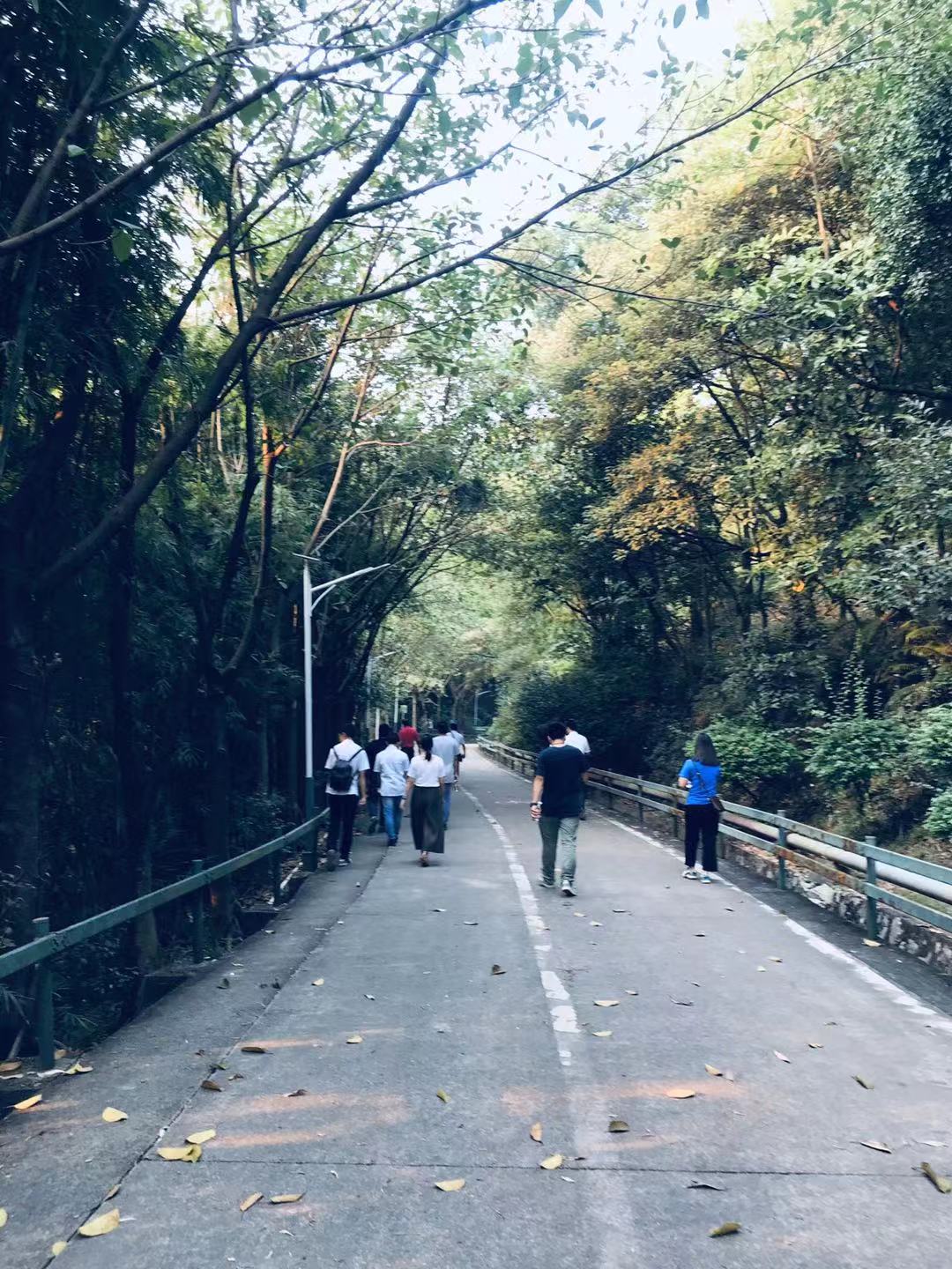 微信图片_20190928162827